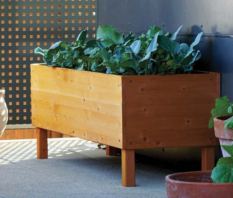 Refresh your planter boxes