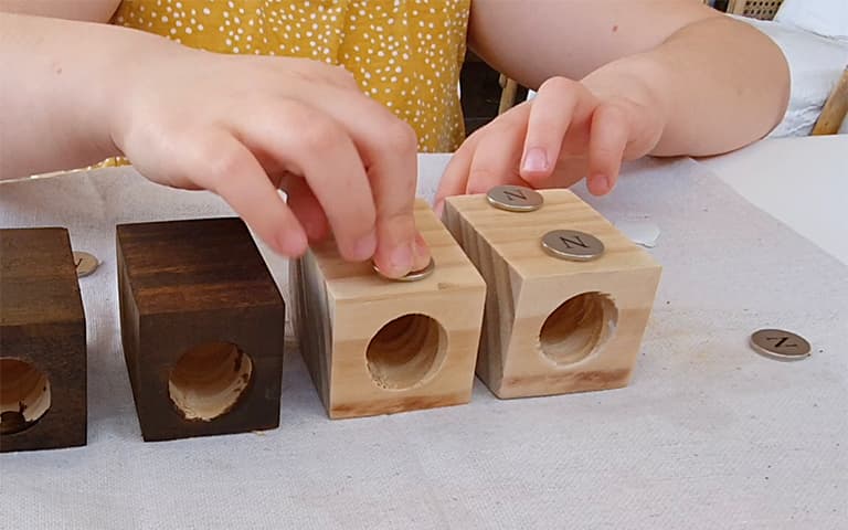 plant magnet stick it